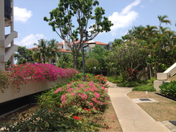 Bayshore Park (D16), Condominium #628956691